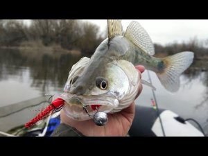 НАША РЫБАЛКА В АСТРАХАНИ (2024) часть 3 НА ЭТУ МАНДУЛУ СУДАК СТОЯЛ В ОЧЕРЕДИ.