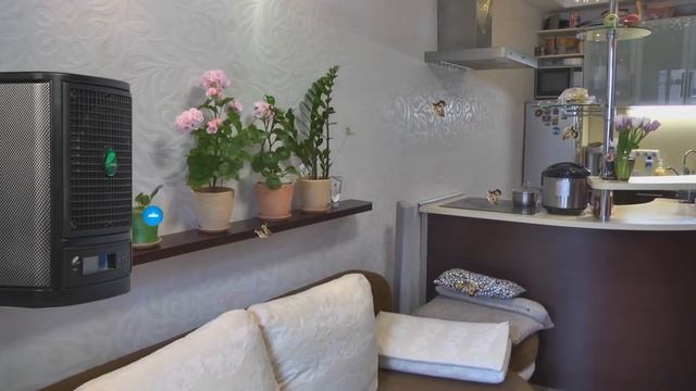 Чистый воздух в помещении смотреть онлайн