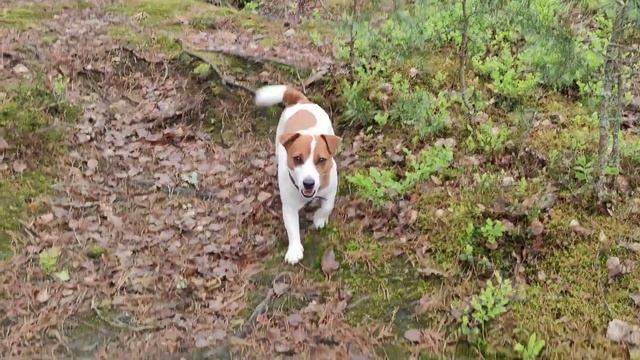 61 час в Великих Луках (2021) | 61 hours in Velikiye Luki (2021) | vasilianaa смотреть онлайн