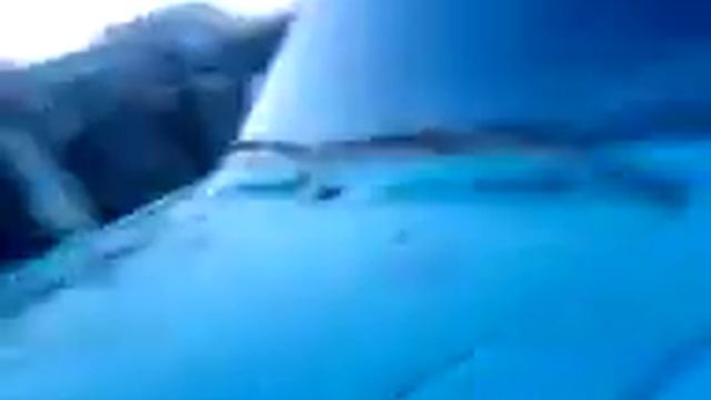 курган прадо смотреть онлайн