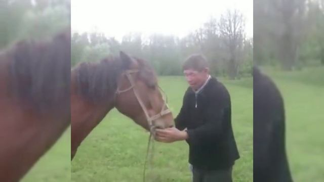 Приколы смотреть онлайн