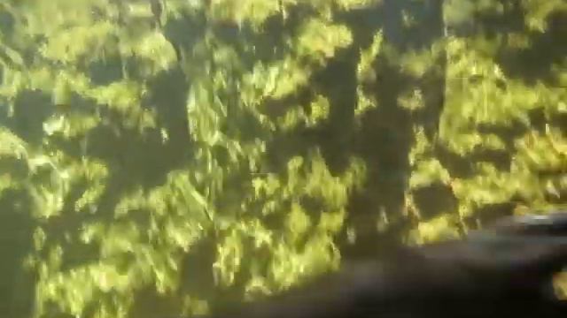 Выдры смотреть онлайн