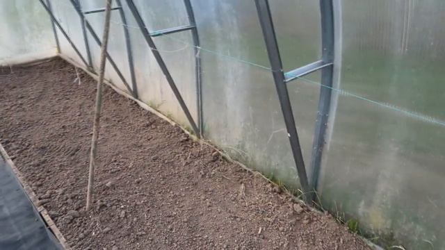 ДАЧНЫЙ ВЛОГ: Что планирую сажать в парнике / Поймала клеща смотреть онлайн