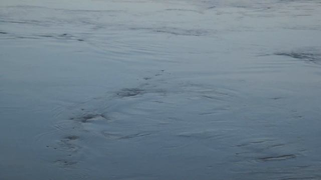 Водовъртеж в река Дунав