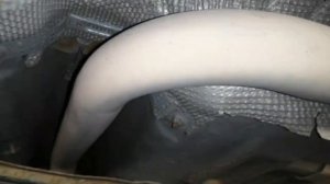 Выхлопная система Ford fusion 2007 1,4 состояние после 27000 км. ??????