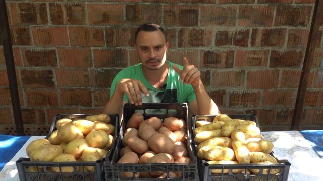 ЛУЧШИЕ СОРТА КАРТОФЕЛЯ И ЧЕСНОКА смотреть онлайн