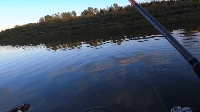 Вечерний выезд со спиннингом на твич смотреть онлайн