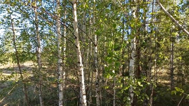 "ЛЕСНОЙ" МЕТАЛЛОЛОМ. Аккумуляторная болгарка в деле! "РЕЖУ" металл в лесу смотреть онлайн