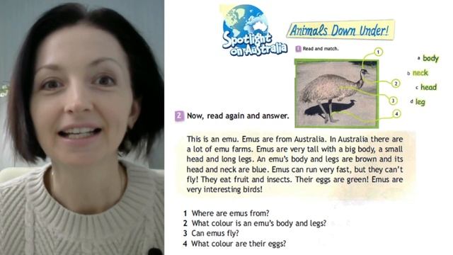 Spotlight 3 класс (Спотлайт 3) / Урок 27 "The Toy Soldier"/ "Animals Down Under" стр. 82 - 85 смотреть онлайн