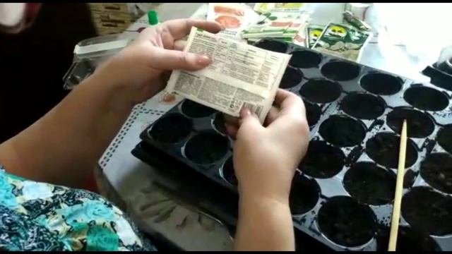 Первая рассада/ Пикируем перец в кассеты смотреть онлайн