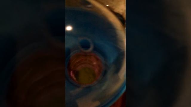 Как ухаживать за джунгарским хомячком смотреть онлайн