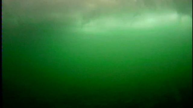 Просто подводная съёмка. смотреть онлайн