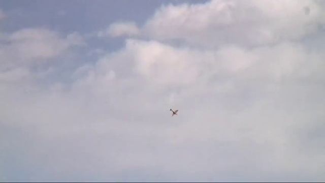 Warbirds Over Denver Spitfires смотреть онлайн