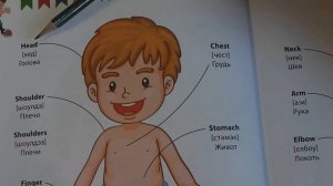 Домашнее задание 3 -й класс Части тела на английском для детей