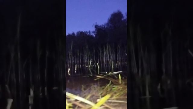 вечер над рекой. смотреть онлайн