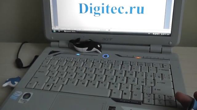 Флешка дельфин синий смотреть онлайн