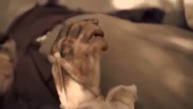 EL RICO Y LAZARO EN ESPAÑOL LATINO PELICULA COMPLETA  HD Lucas 1619 