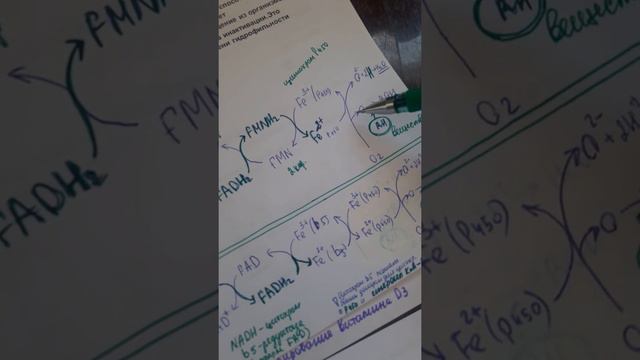 Микросомальное окисление