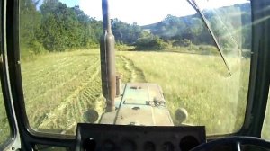 Райграс многолетний с люцерной первый год после посева 2 укос