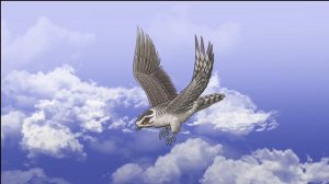 Ястребы и Ко Макси ПЕСНЯ (ДеАгостини 2017)