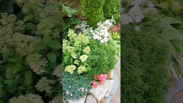 Оформление клумбы. Цветение с весны до осени. Хвойные и многолетники. смотреть онлайн