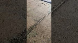 Трамбовка отсева под укладку тратуарной плитки, брусчатки!