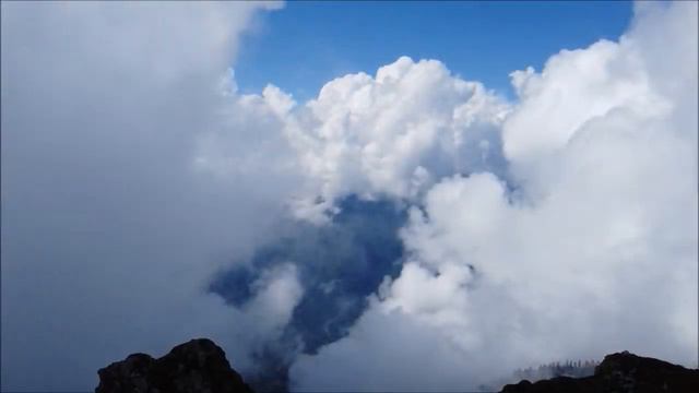 Что такое мудрость