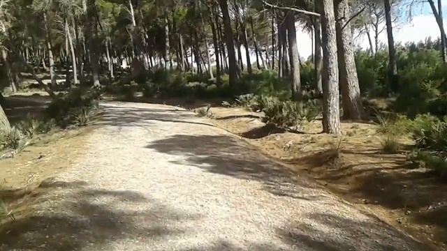 منتزه بمدينة تطوان : parque de / #tetouan tetuán @moroccopigeon смотреть онлайн