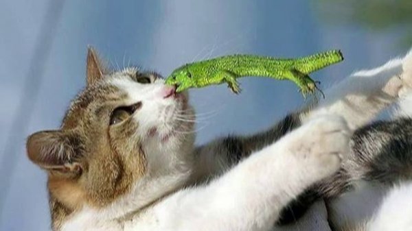 Dj Mark Ovtsev - Electro Mix Medium N5 part22 [Electro House, Vocal House, Drum&Bass]