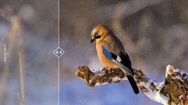 Photoshop Lightroom Presets: Hello WINTER 165 Workflow BUNDLE смотреть онлайн