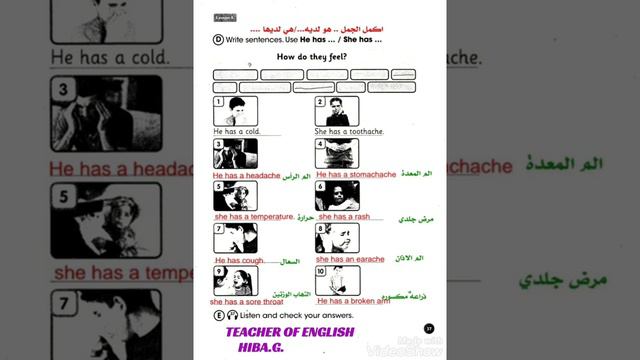 6th primary / Unit 3 Lesson 1 / p. 37 Activity Book смотреть онлайн
