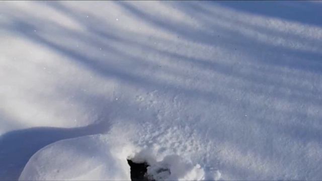 Зимовка рыб в дачном пруду смотреть онлайн