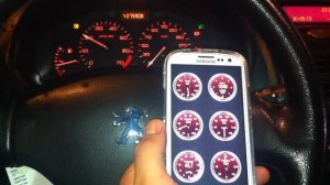 Peugeot 206 1.4 8v Scanner OBD II