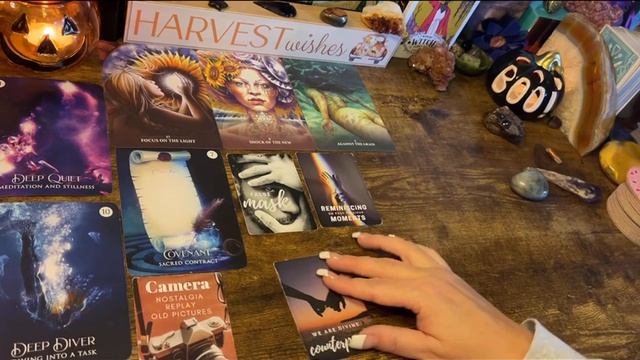 LEO ♌️ “FAIRYTALES DO EXIST, LEO! SPOTLIGHT!” NEXT 48HRS TAROT ORACLE 2021 смотреть онлайн