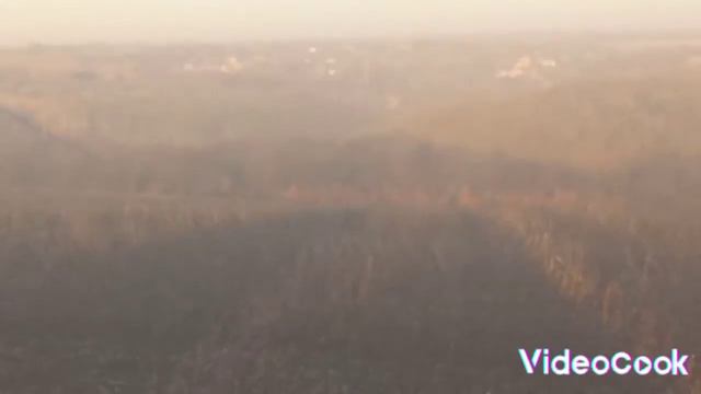 поход за новогодней ёлкой. смотреть онлайн