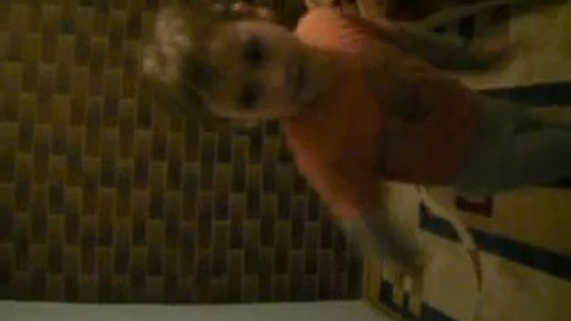 Маленький мальчик танцет под песню PSY-Gagnam Style)5лет смотреть онлайн