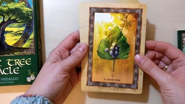 36. Celtic Tree Oracle unboxing смотреть онлайн