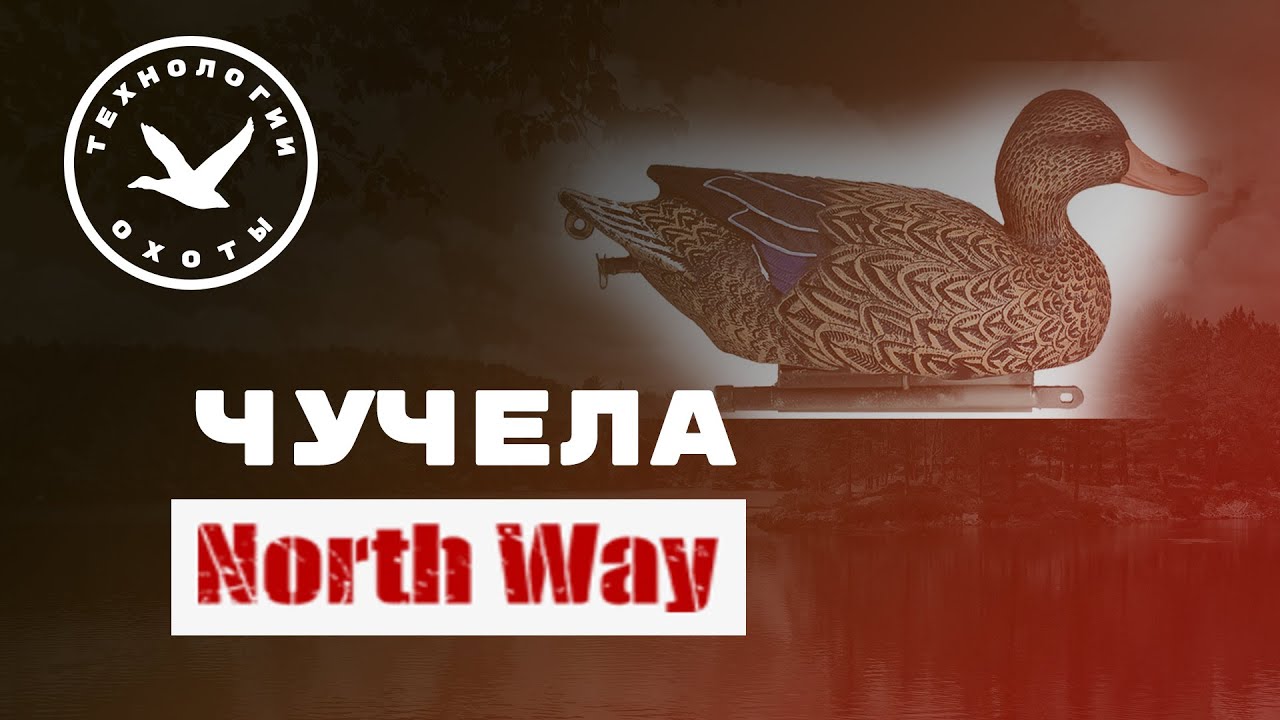 Обзор утиных чучел Soft Plast смотреть онлайн