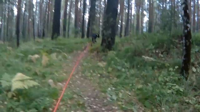 Дачный след смотреть онлайн