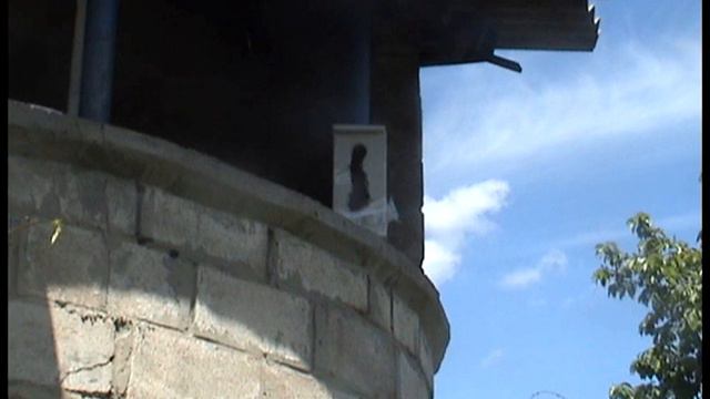 Синицы беженцы