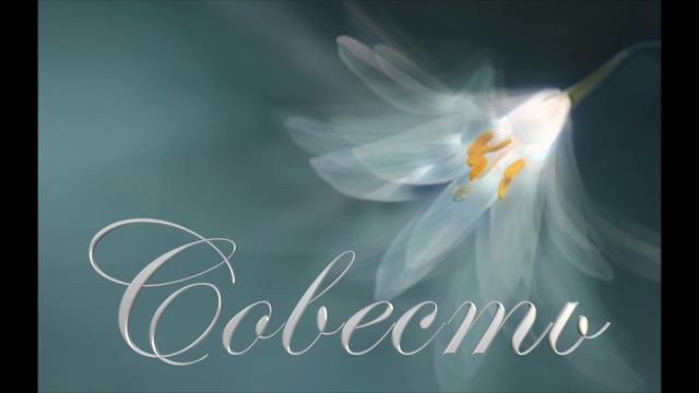 Совесть смотреть онлайн