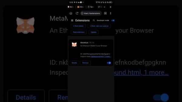 HOW TO ADD EXTENSIONS ON MISES BROWSER AND KIWI BROWSER