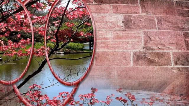 Я тебя люблю. Признание в любви. смотреть онлайн