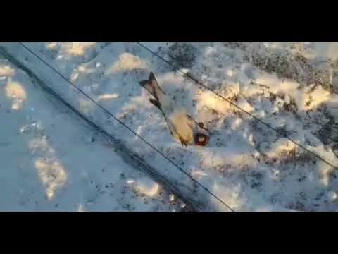 Ловля щеглов 18.1.2023 год. смотреть онлайн