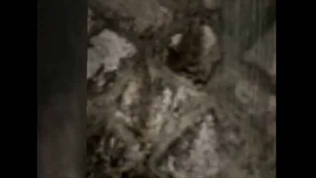 Forbidden Siren 2 часть 3-я смотреть онлайн