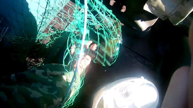 Ловля крупного линя  и карася в зарослях кувшинки на поплавок.