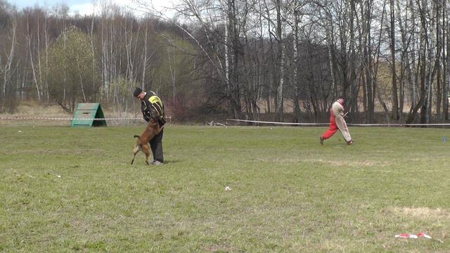 Большой Русский Ринг. 23.04.2016 г. смотреть онлайн