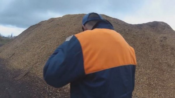 толик еболик