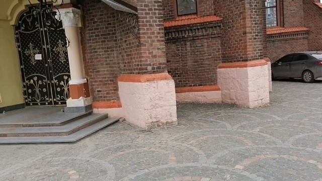 Прогулка по городу. Собака Баскервилей. Беженка оптимистка 2022. смотреть онлайн