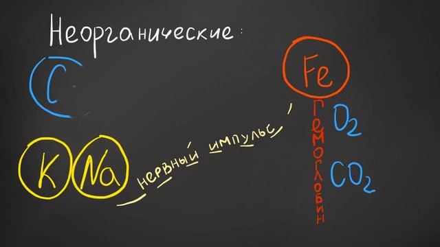 ЗНО 2019 биология САМЫЕ ЧАСТЫЕ ВОПРОСЫ